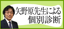 矢野原先生による個別診断