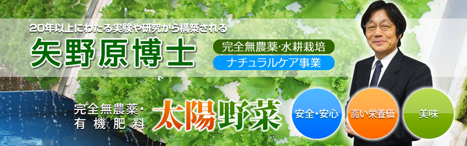 20年以上にわたる実験や研究から構築される「矢野原博士」太陽野菜／完全無農薬・水耕栽培／ナチュラルケア事業