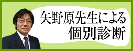 矢野原先生による個別診断